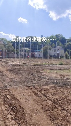 鼎尚銘 專注網絡技術開發，賦能數字化未來
